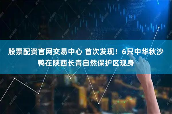 股票配资官网交易中心 首次发现！6只中华秋沙鸭在陕西长青自然保护区现身