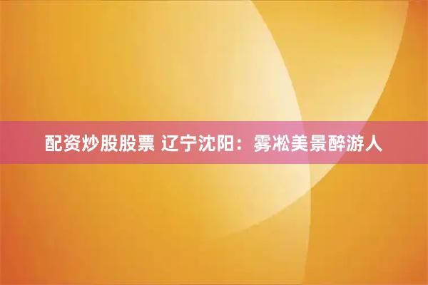 配资炒股股票 辽宁沈阳：雾凇美景醉游人