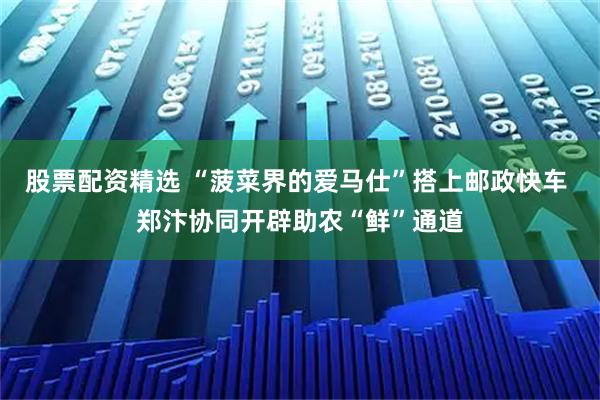 股票配资精选 “菠菜界的爱马仕”搭上邮政快车 郑汴协同开辟助农“鲜”通道