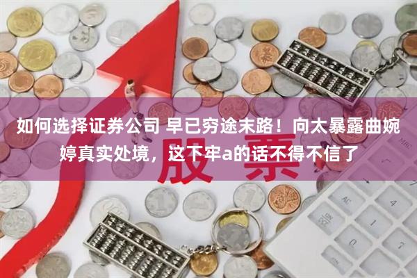 如何选择证券公司 早已穷途末路！向太暴露曲婉婷真实处境，这下牢a的话不得不信了