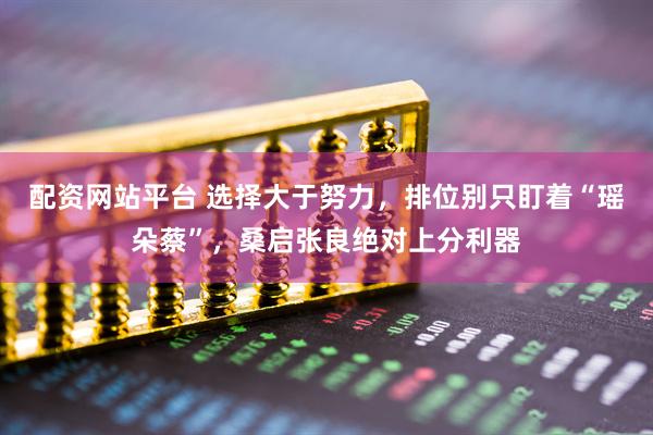 配资网站平台 选择大于努力，排位别只盯着“瑶朵蔡”，桑启张良绝对上分利器