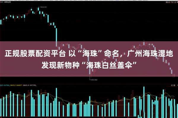 正规股票配资平台 以“海珠”命名，广州海珠湿地发现新物种“海珠白丝盖伞”